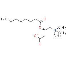 L-Octanoylcarnitine