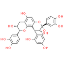 Procyanidin A2