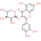 Reynoutrin