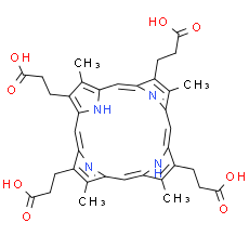 Coproporphyrin III