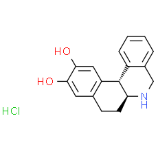 Dihydrexidine hydrochloride