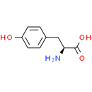 L-Tyrosine