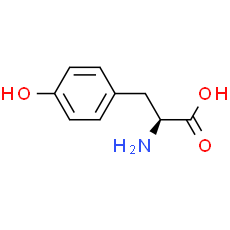 L-Tyrosine