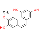 Rhapontigenin