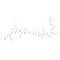 LEP(116-130)(mouse)