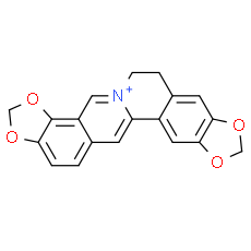 Coptisine
