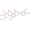 Isoorientin