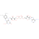 Flavin adenine dinucleotide