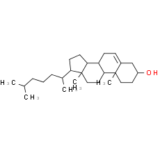 Cholesterol