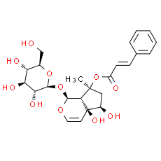 Harpagoside