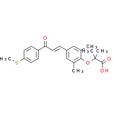 Elafibranor