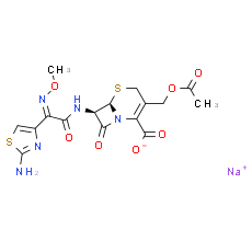 Cefotaxime sodium salt