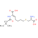 Cilastatin