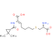 Cilastatin