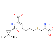 Cilastatin
