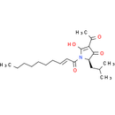 Reutericyclin