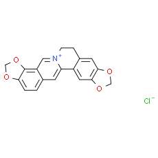 Coptisine chloride