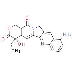 9-amino-CPT