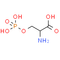 DL-O-Phosphoserine