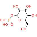 Galactose 1-phosphate