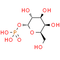 Galactose 1-phosphate