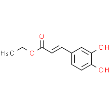 Ethyl Caffeate