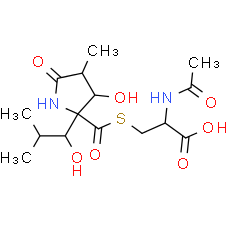 Lactacystin