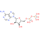 Adenosine 5'-diphosphate