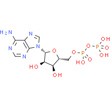 Adenosine 5'-diphosphate