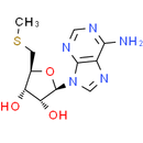 5'-Methylthioadenosine