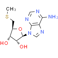 5'-Methylthioadenosine
