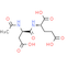 Spaglumic Acid
