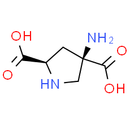 (2R, 4R)-APDC