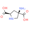 (2R, 4R)-APDC