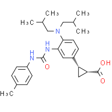 IDO-IN-4