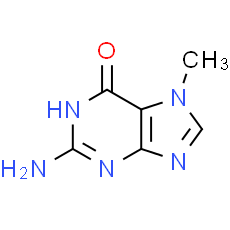 7-Methylguanine