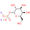 Galactose 1-phosphate Potassium salt