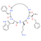 Cyclosomatostatin