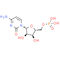Cytidine 5'-monophosphate
