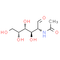 D-N-Acetylgalactosamine