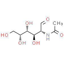 D-N-Acetylgalactosamine