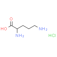 L-Ornithine hydrochloride - CAS
