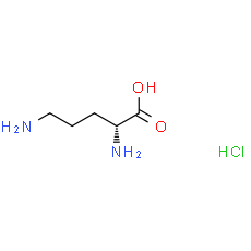 D-Ornithine hydrochloride