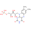 Riboflavine phosphate