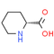 D-Pipecolinic acid