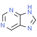 Purine