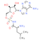 Leu-AMS R enantiomer