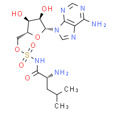 Leu-AMS R enantiomer