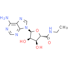 5'-N-Ethylcarboxamidoadenosine