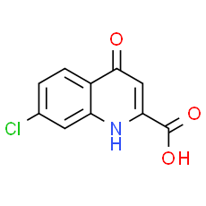 7-Chlorokynurenic acid
